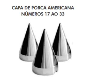 CAPA DE PORCA AMERICANA 17 AO 33